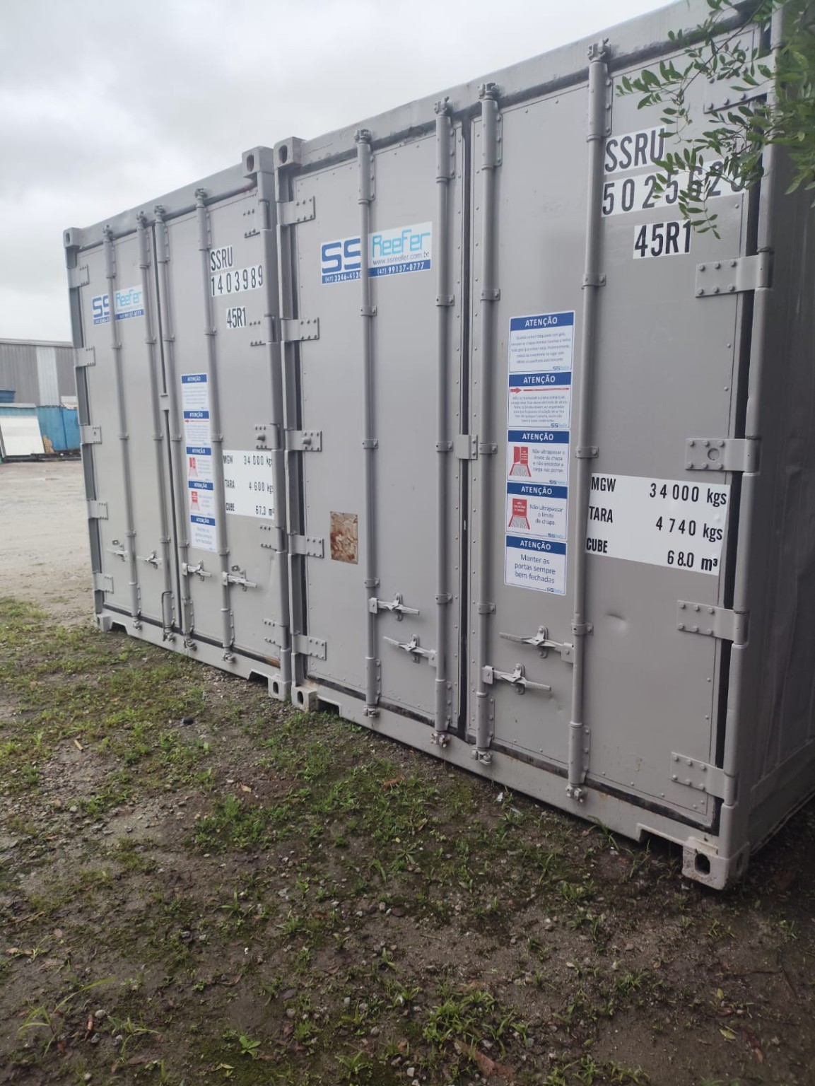 Container SS Reefer